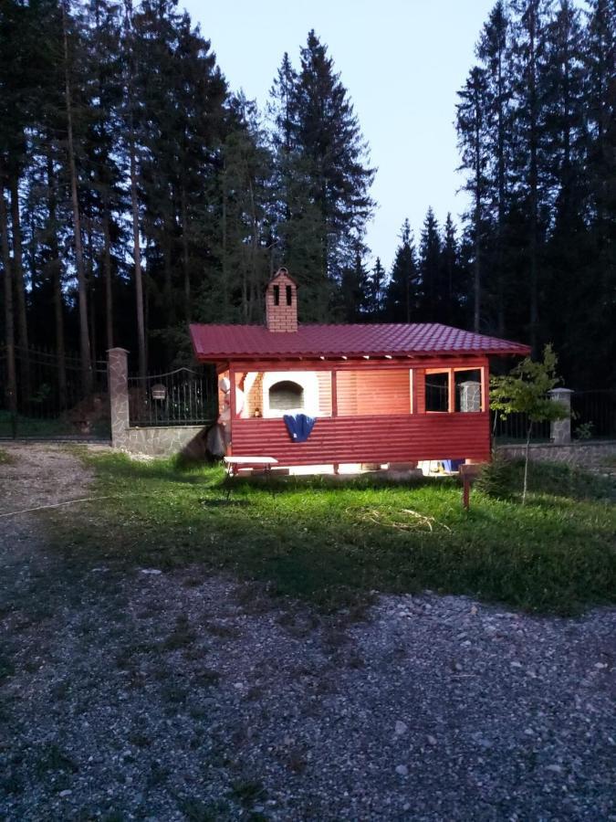 Casa De Vacanta Paraul Rece Exteriör bild