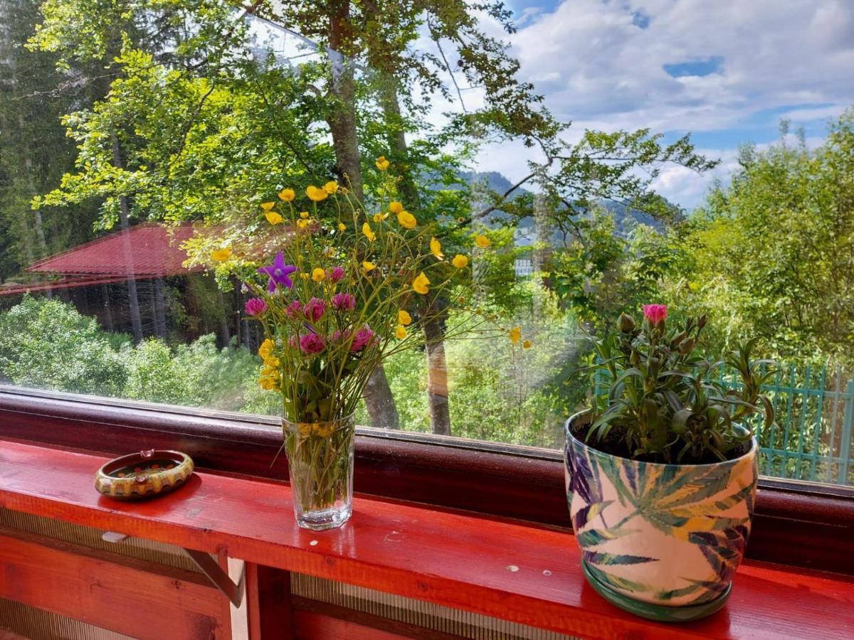 Casa De Vacanta Paraul Rece Exteriör bild