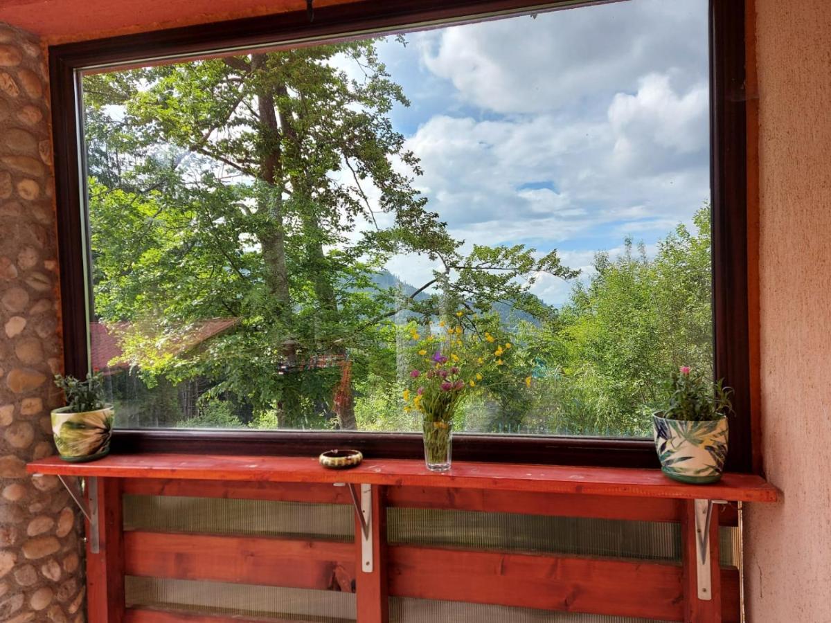 Casa De Vacanta Paraul Rece Exteriör bild