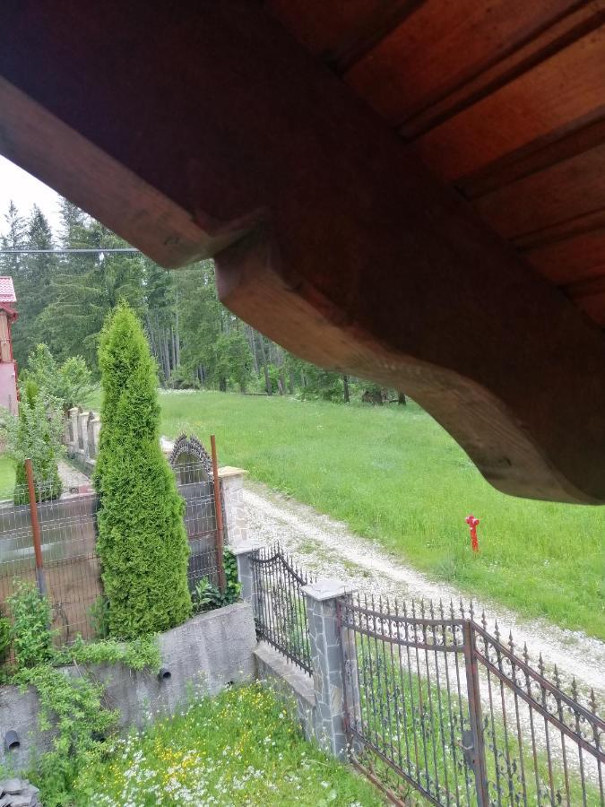 Casa De Vacanta Paraul Rece Exteriör bild