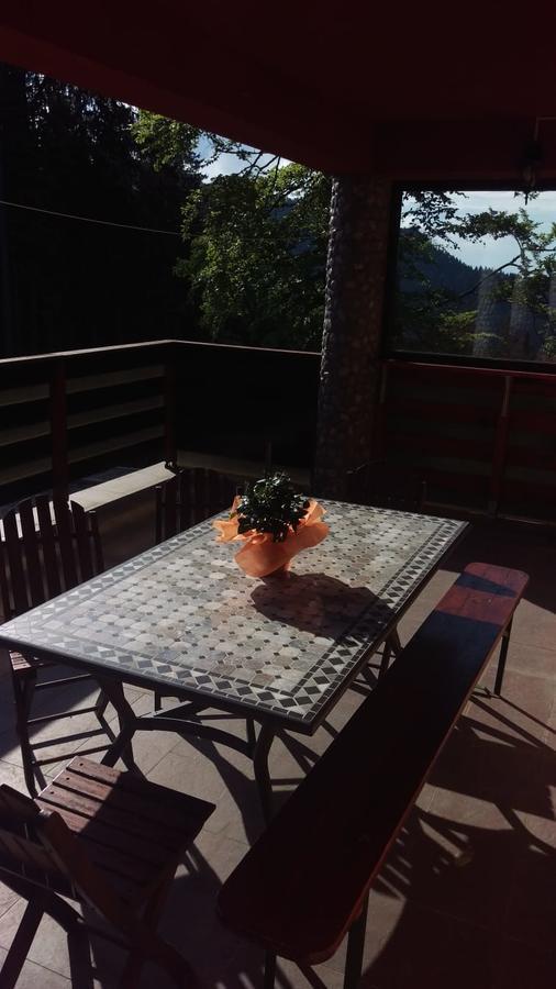 Casa De Vacanta Paraul Rece Exteriör bild