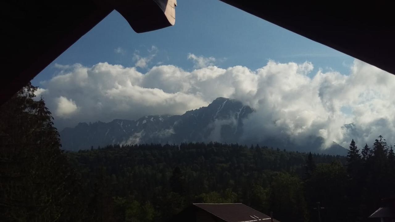 Casa De Vacanta Paraul Rece Exteriör bild